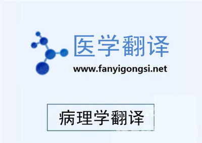 深圳溝通翻譯專業阿拉伯語翻譯-深圳市溝通翻譯提供深圳溝通翻譯專業阿拉伯語翻譯的相關介紹、產品、服務、圖片、價格語言翻譯、信息咨詢、電子軟件開發、同傳設備租賃、少兒英語培訓