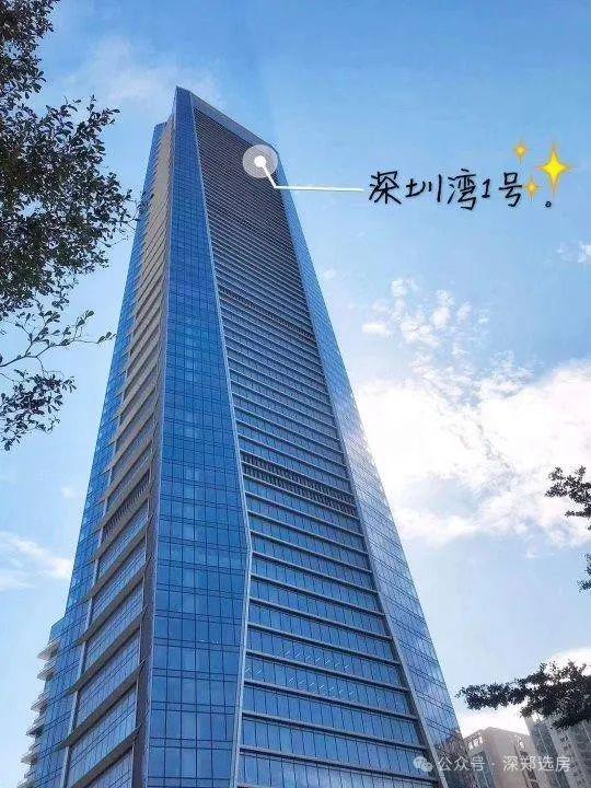 2025 深圳灣1號 售樓處i深圳灣1號官方網站深圳灣1號官方歡迎您