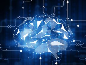 深圳app開(kāi)發(fā)海鮮水產(chǎn)app